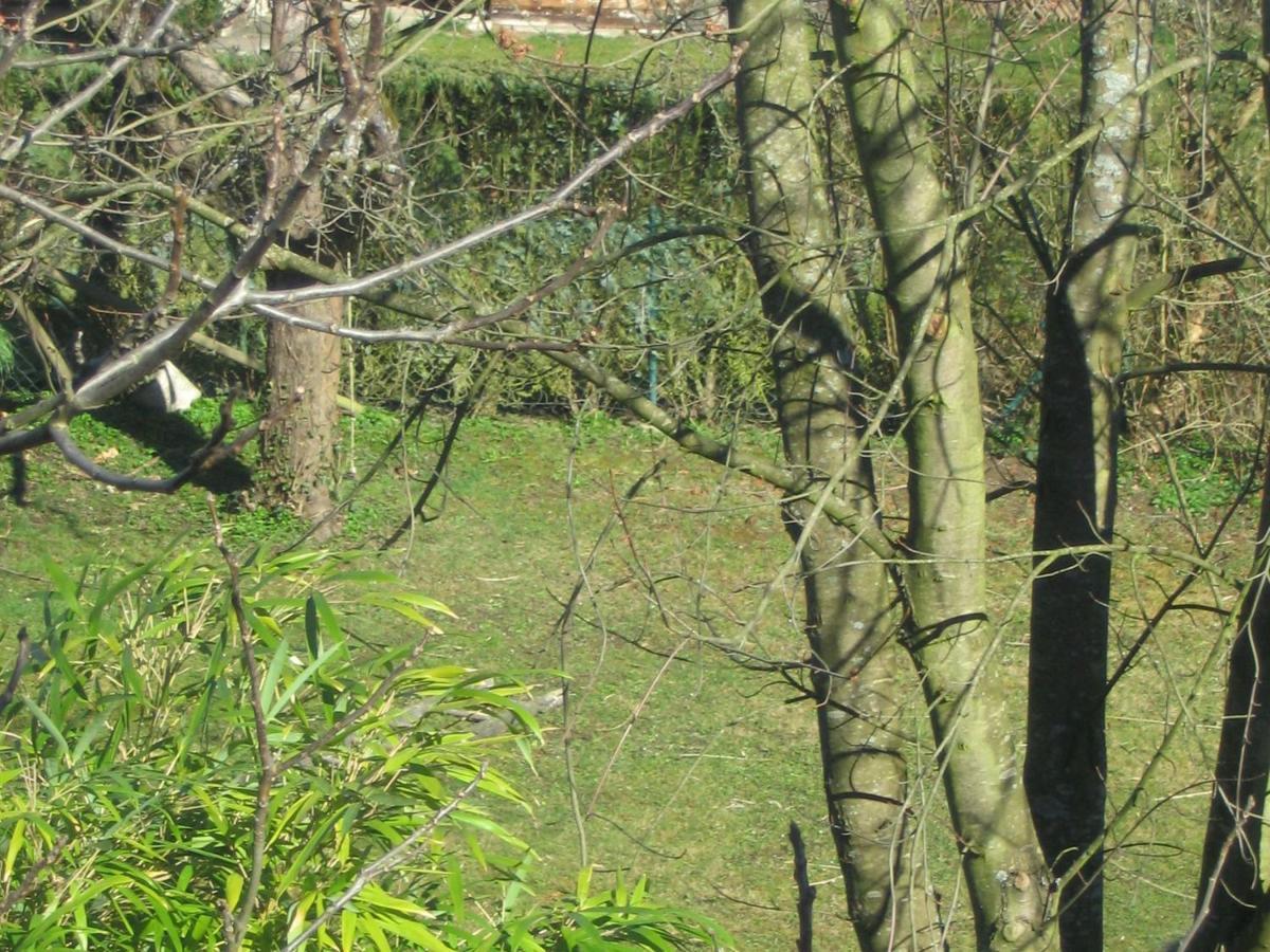 Haus Am Apfelbaum Leilighet Bad Säckingen Eksteriør bilde